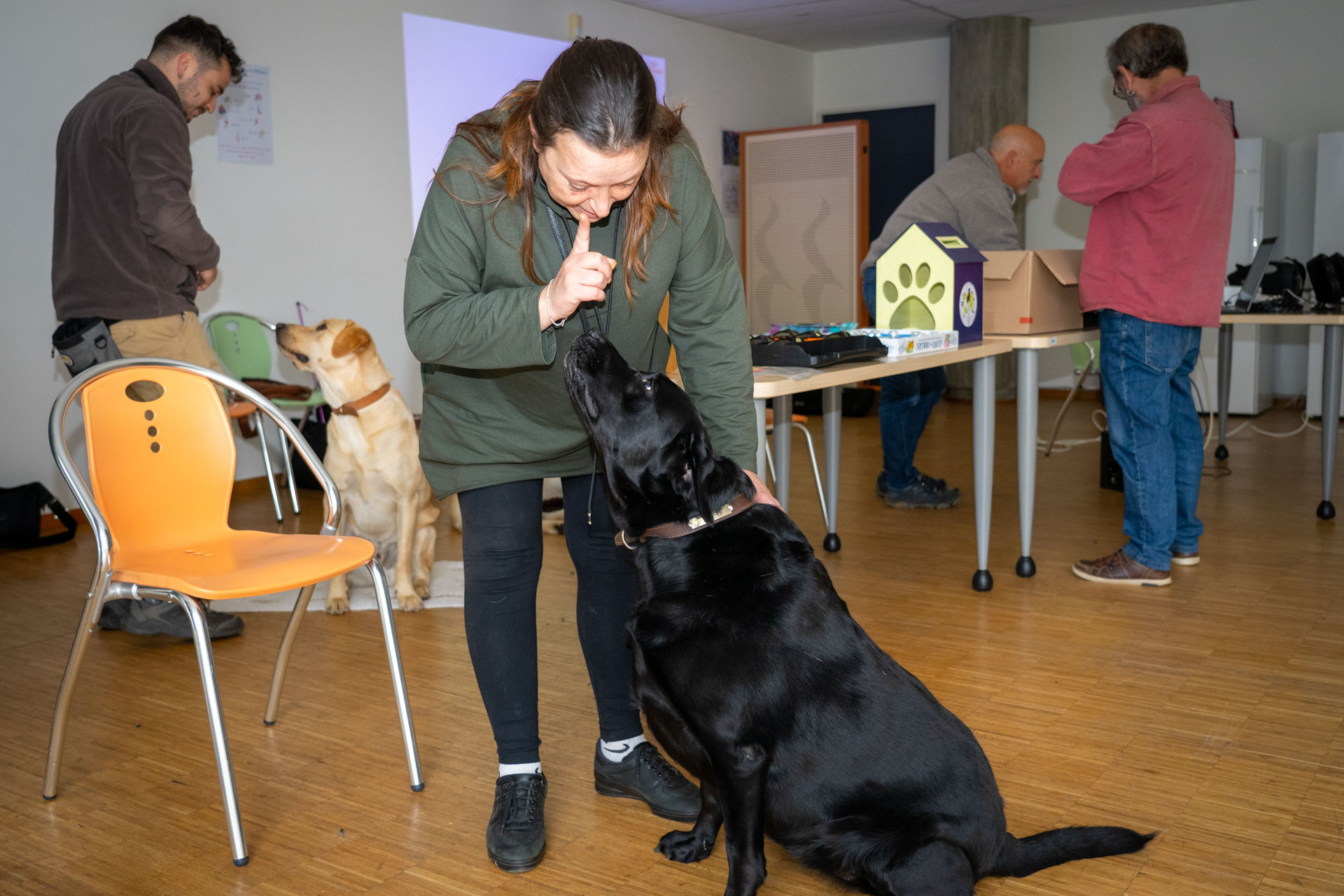 Personne atteinte de déficience visuelle et son chien "Noisette"