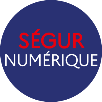 Logo ségur numérique