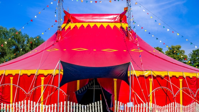 Plan d'accompagnement des circassiens