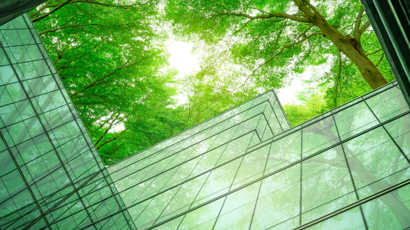 Transition écologique à l'ASP : un nouveau bilan 2024