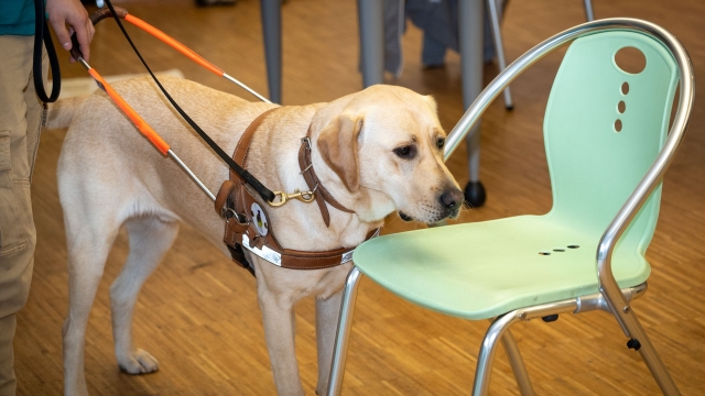 Semaine du handicap : retour sur les actions organisées à l'ASP