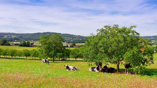 PAC : 1er paiement des mesures agro-environnementales et climatiques (MAEC) et des aides à l’agriculture biologique (Bio)