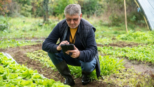Devenez contrôleur agricole – l’ASP recrute !