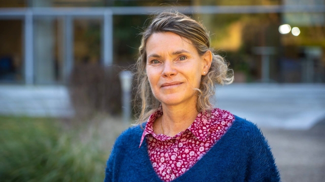 Un agent, un métier : rencontre avec Emilie Rethore-Lliso, responsable de ligne produits à l'ASP