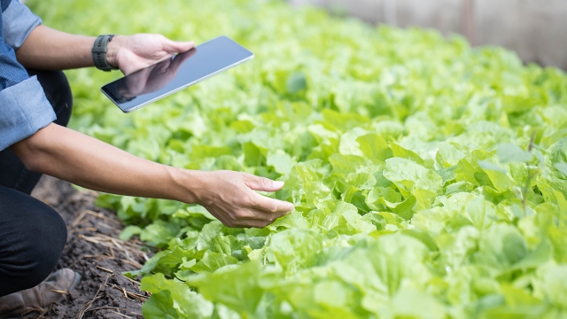 Contrôleur des aides agricoles H/F