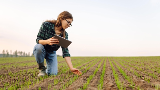 Contrôleur polyvalent H/F