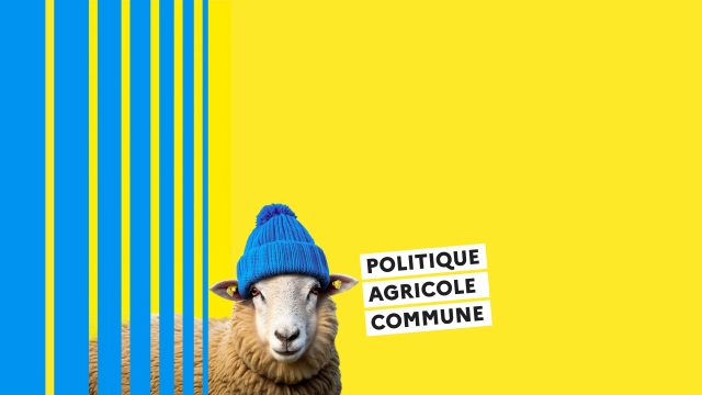 Politique Agricole Commune : devenez contrôleur animaux